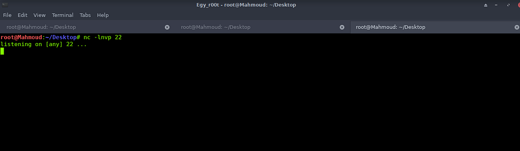 NC Listening on Port 22